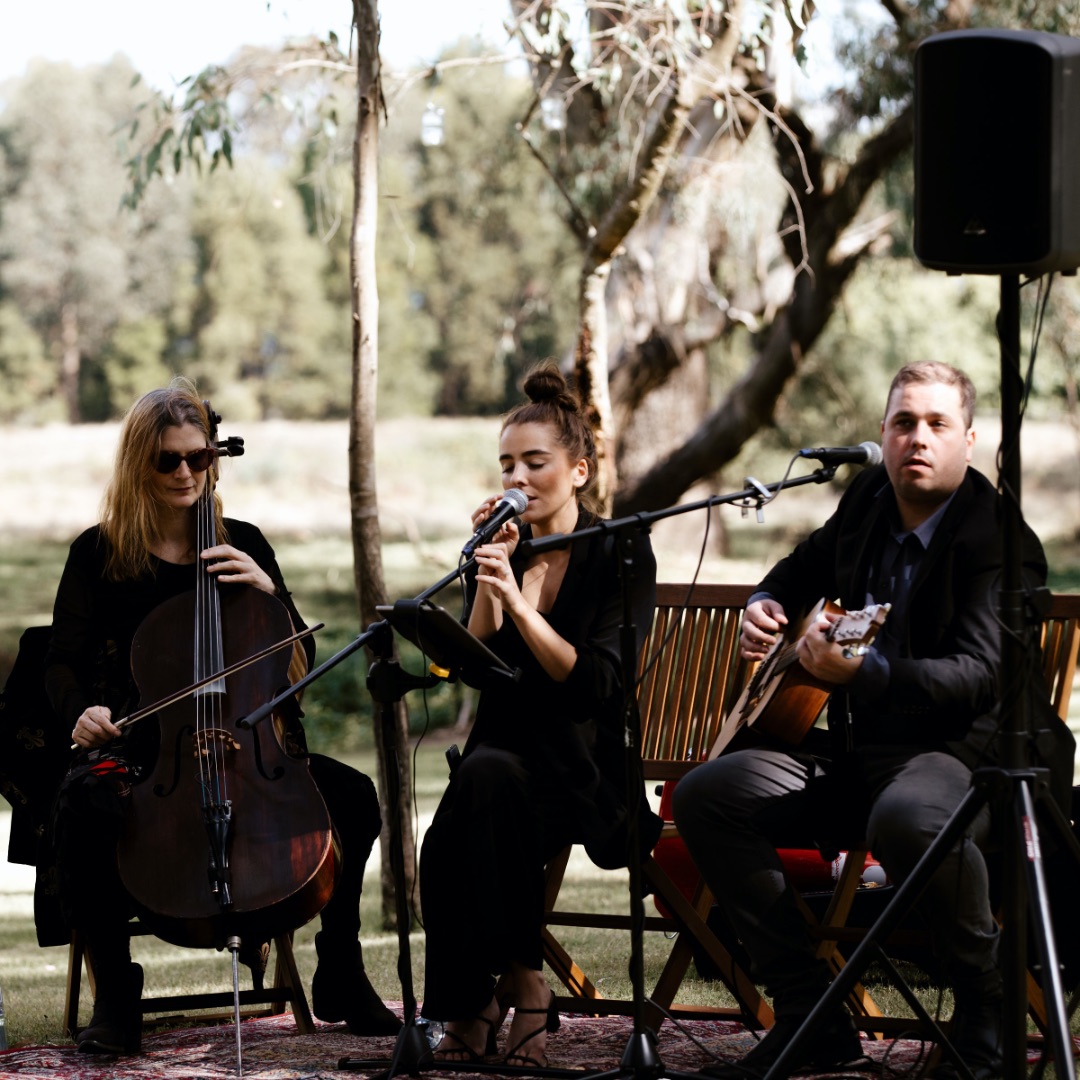 All Day Live Wedding Entertainment Package