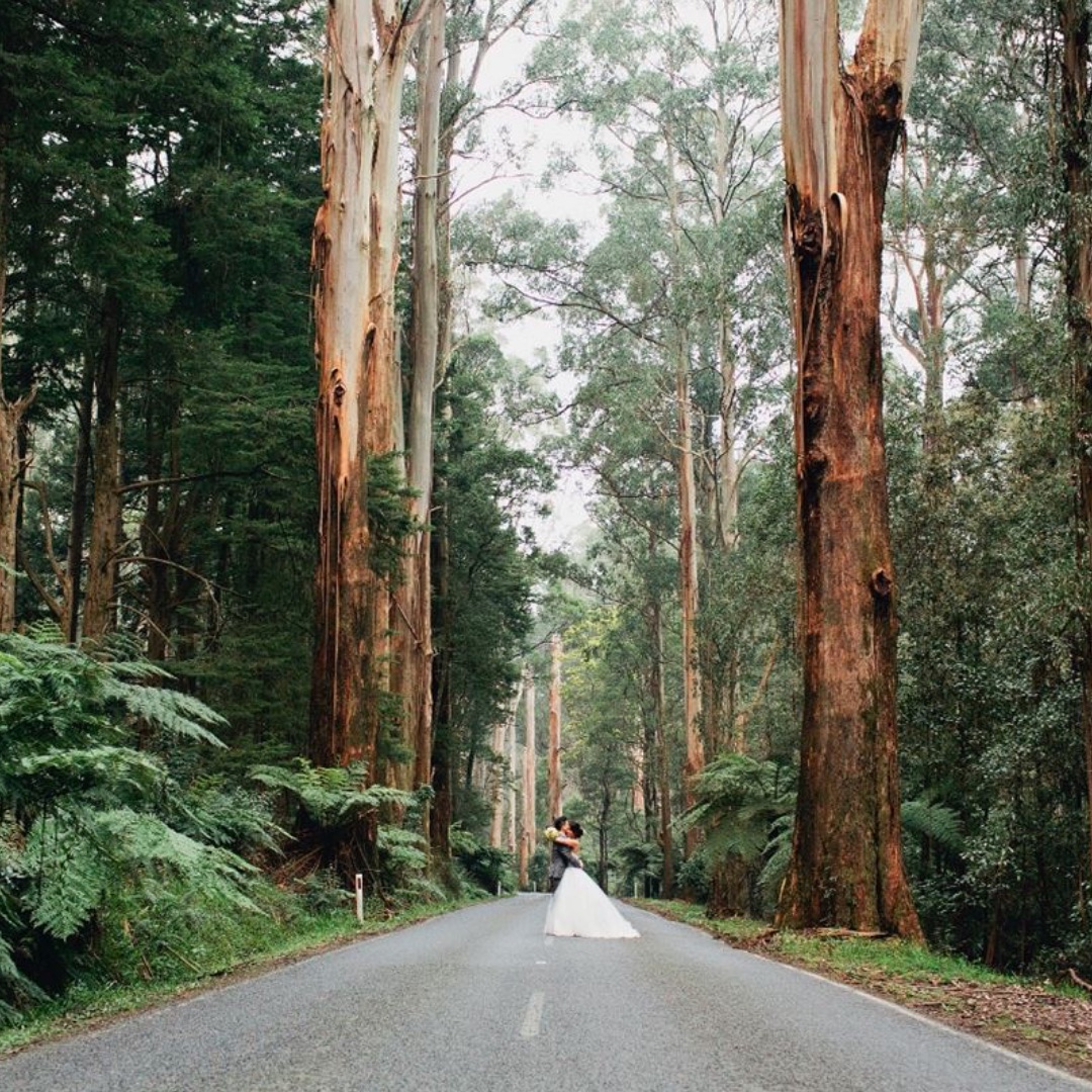 Best Dandenong Ranges Wedding Bands, Singers, DJs & Venues
